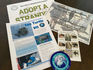 Adopt a Stranded Turtle Digital Download