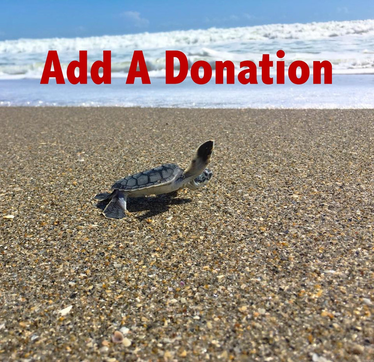 Add on a Donation