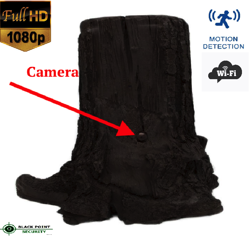 tree.stump.hidden.wireless.outdoor.camera.png