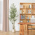 6FT Artificial Olive Tree Indoor, Silk Fake Potted Tree with Natural Wood Trunk & Lifelike Fruits, Faux Plant for Modern Home Office Living Room Floor Decor
