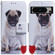 Coloured Drawing Flip Leather Phone Case for Google Pixel 8 Pro - Pug