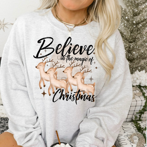 Believe in the Magic of Christmas T SHIRT OR CREWNECK