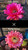 SEEDS- Pink Schick x Flying Sacuer -  (20) cactus seeds SEEDS- Pink Schick x Flying Sacuer -  (20) cactus seeds