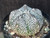 Astrophytum coahuilense hybrid  #ACH114