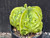 Astrophytum myriostigma cv fukuryu - #140