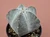 Astrophytum myriostigma cv onzuka - #825