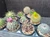 10 assorted cacti plants- PACK#60