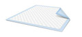 By the Case:  60 Disposable Underpads,  23" X 36", StayDry Breathable Airflow Therapy