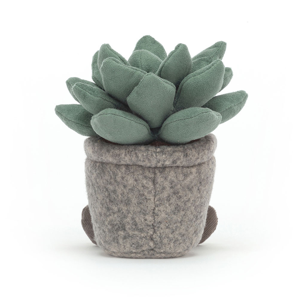 Silly Succulent Azulita, View 3