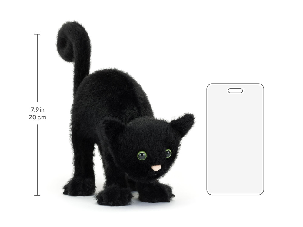 Spookipaws Cat, size chart