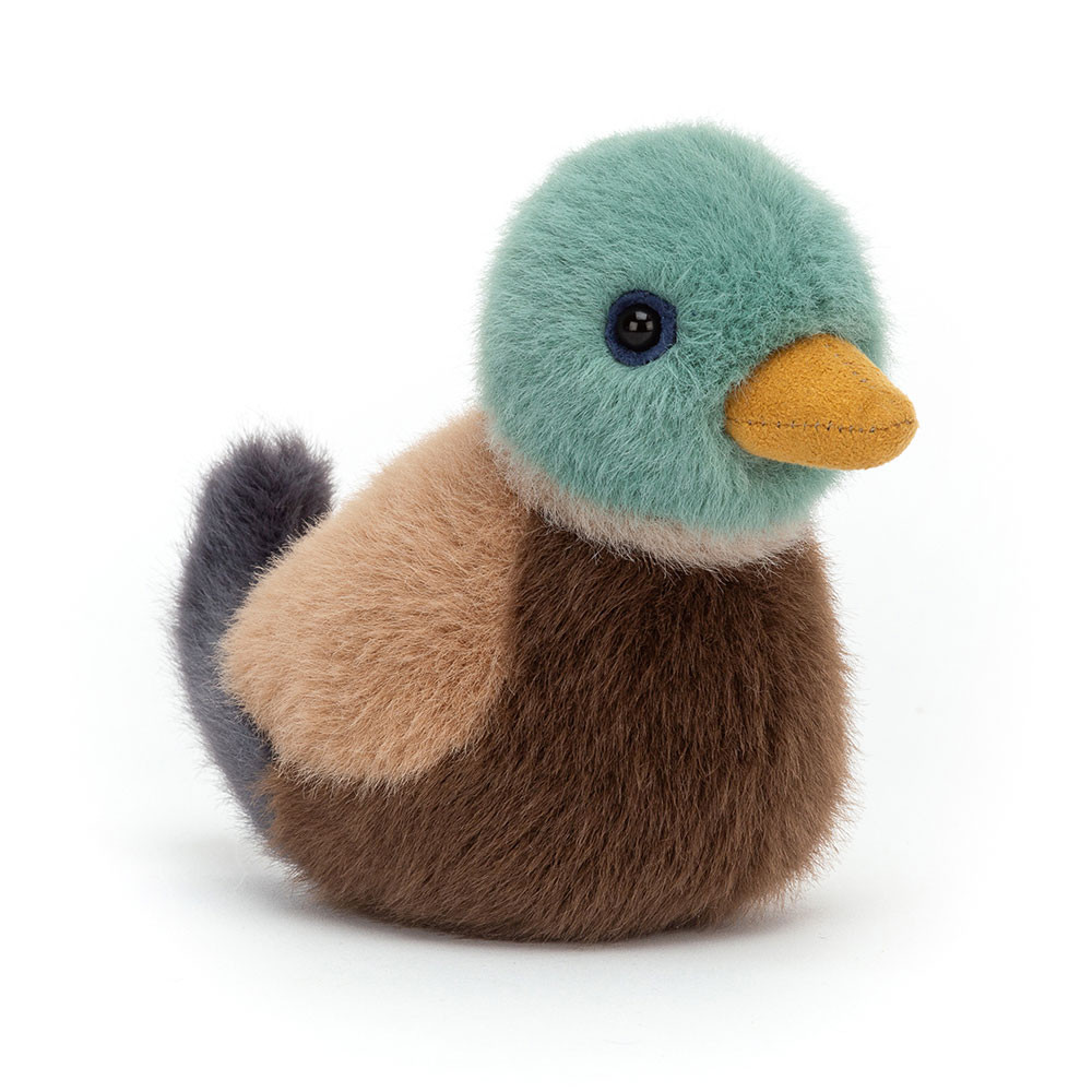 Birdling Mallard, Main View