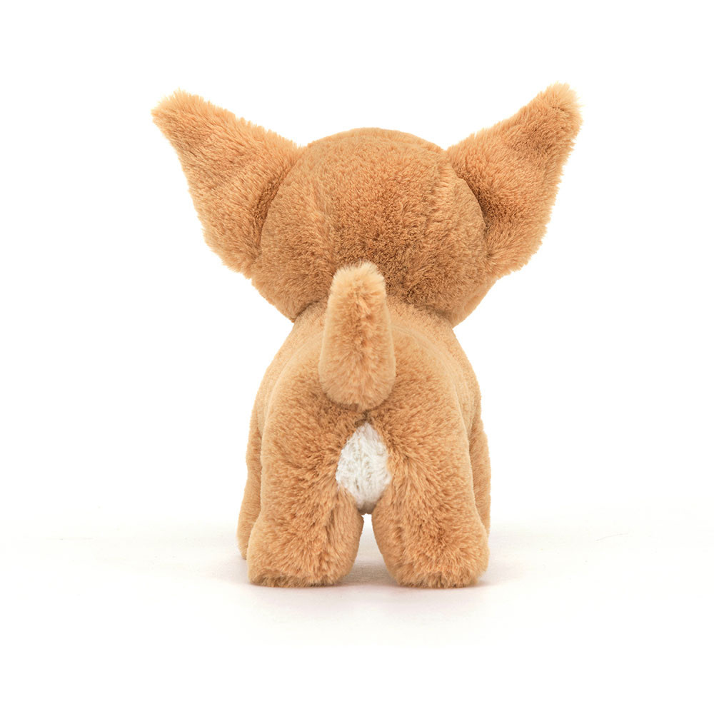 Isobel Chihuahua, View 3