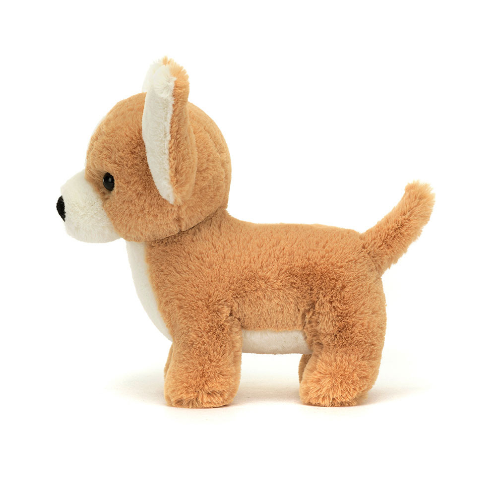 Isobel Chihuahua, View 2