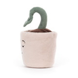 Silly Seedling Serene, Main View