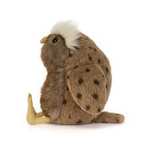 Tawoola Owl, View 2