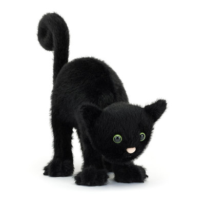 Spookipaws Cat, Main View