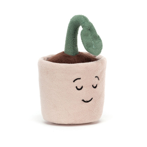 Silly Seedling Serene, Main View