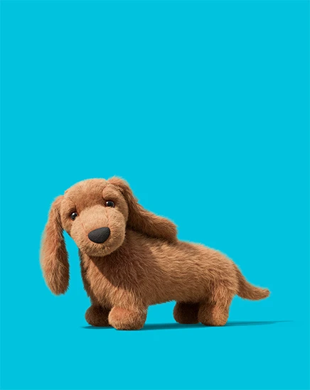 Pecanine Sausage Dog  sur un fond bleu
