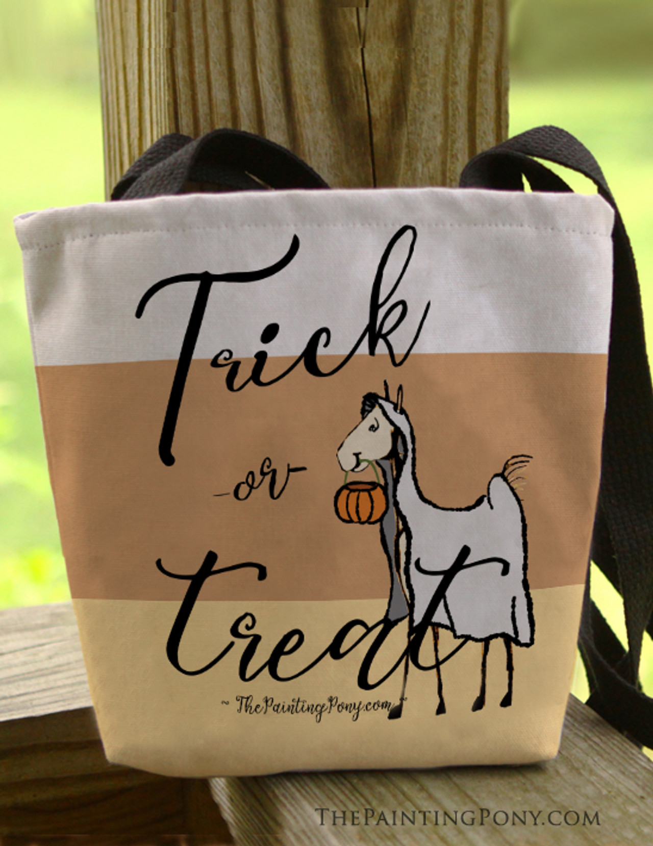 Is It A Colt Or A Foal?  This Simple Trick Reveals All! - lxrcntg