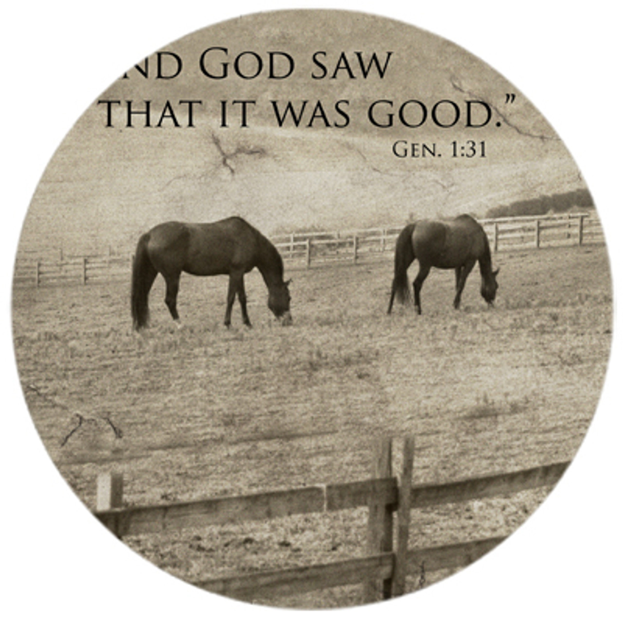 Horses at Pasture
