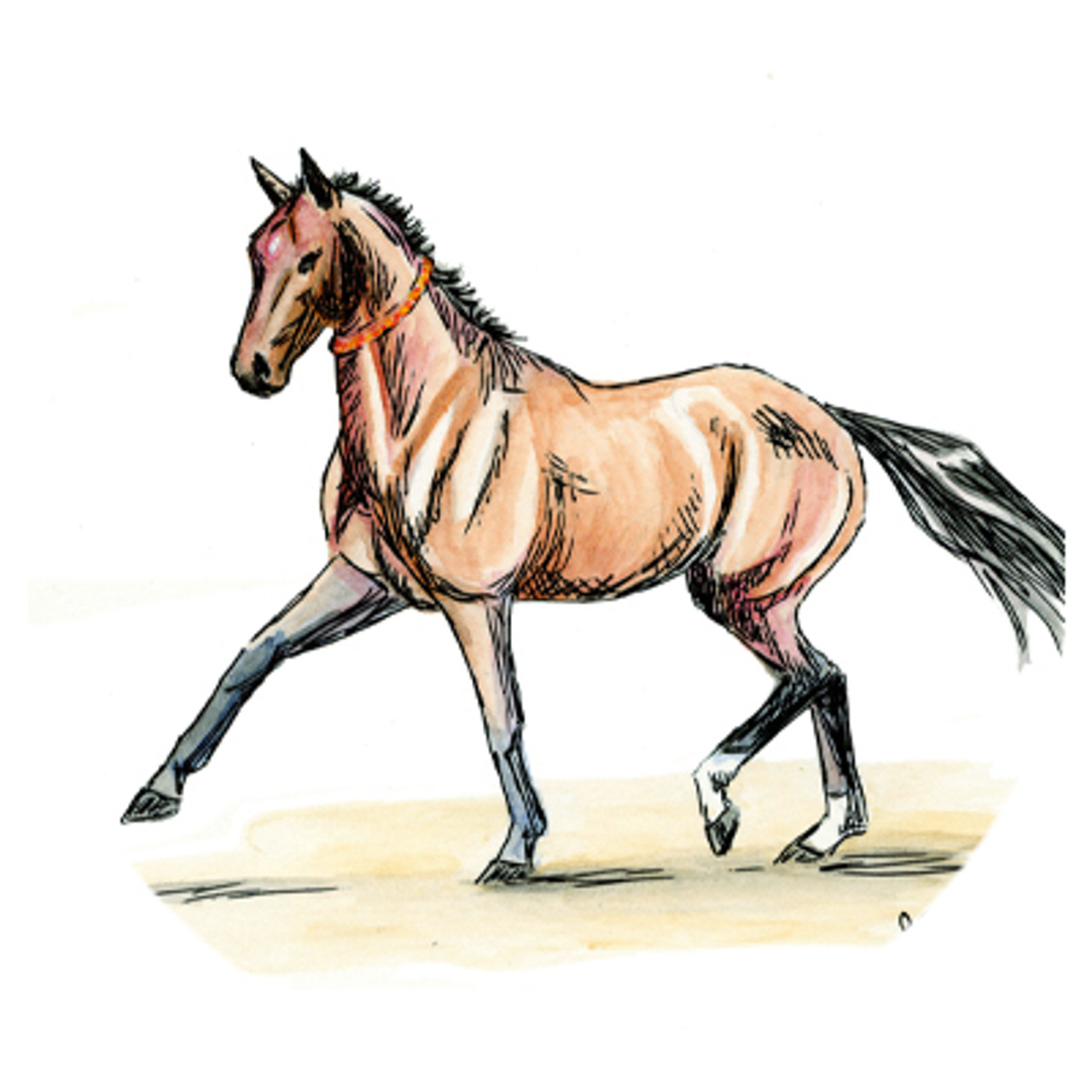 Trotting Akhal-teke Horse Watercolor