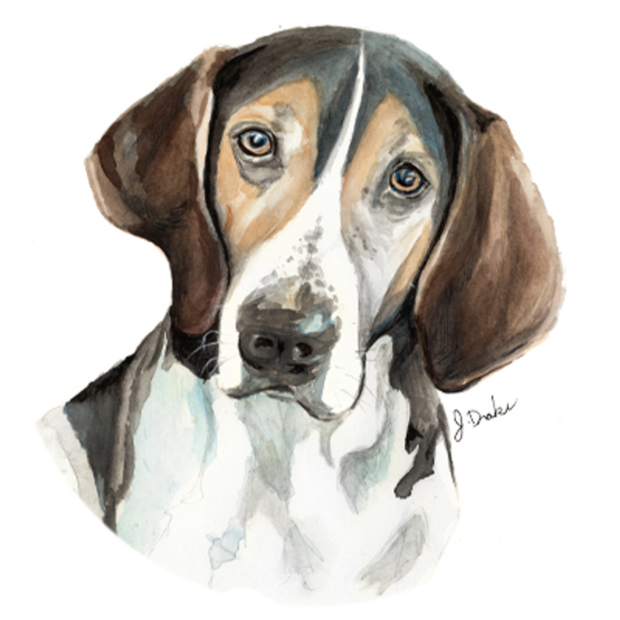 Coon Hound "Trooper"