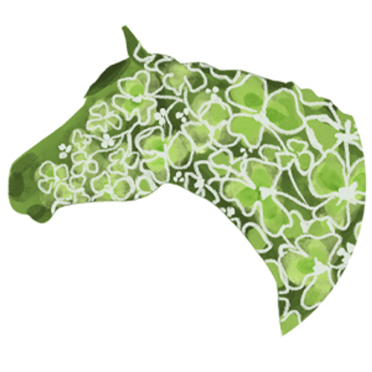 Shamrock Pony
