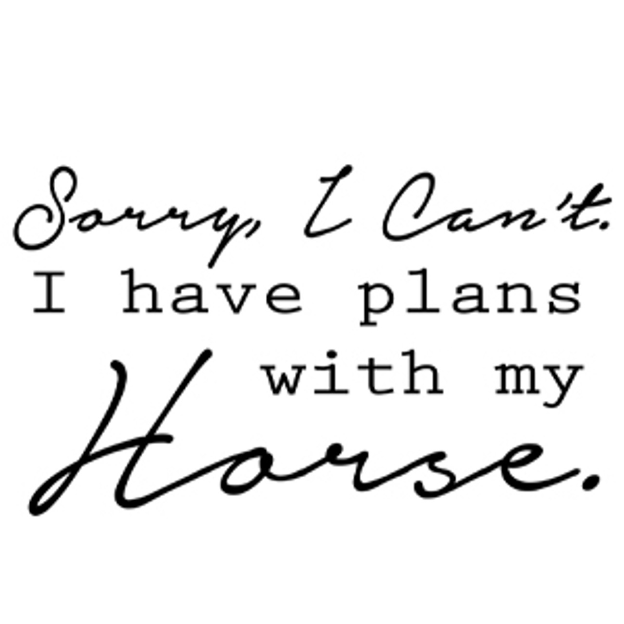 Sorry I Can't