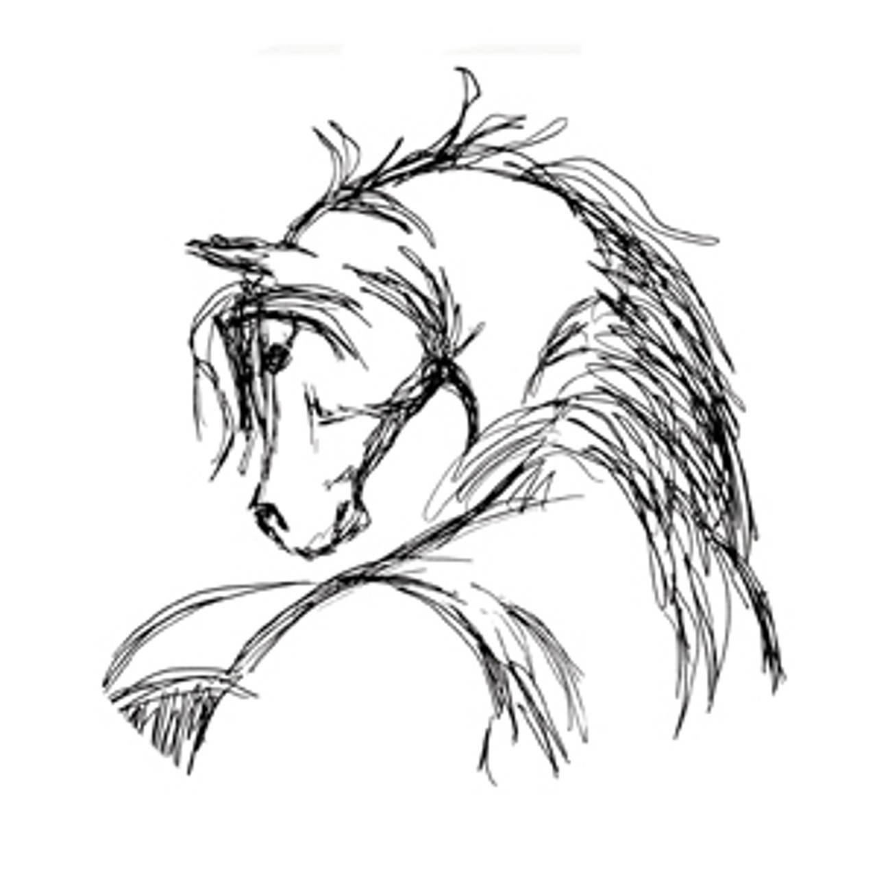 Horse Head Sketch