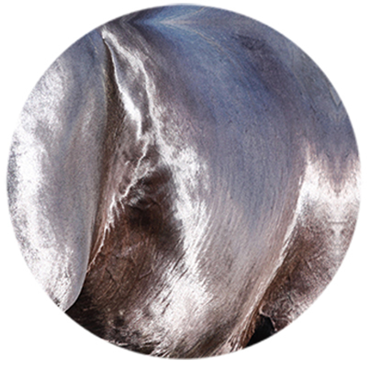 Akhal-teke Shine
