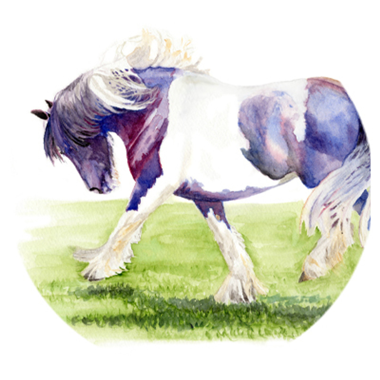 Gypsy Vanner Watercolor