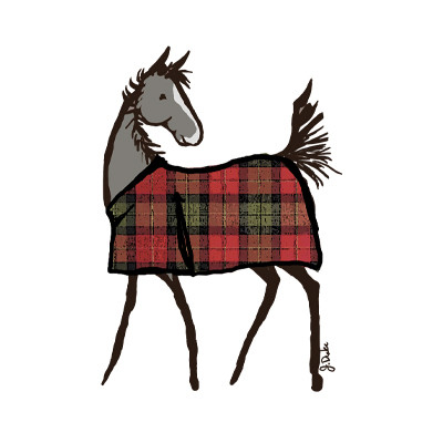 Plaid Horse Foal