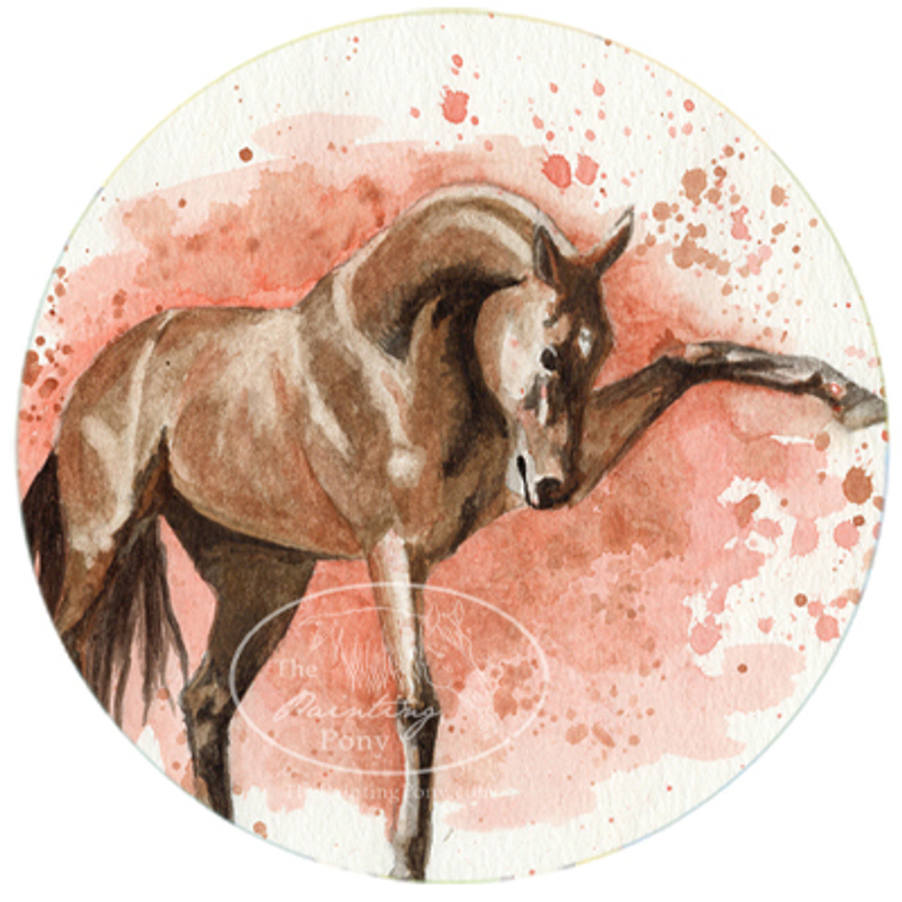 Striking Akhal-teke Stallion