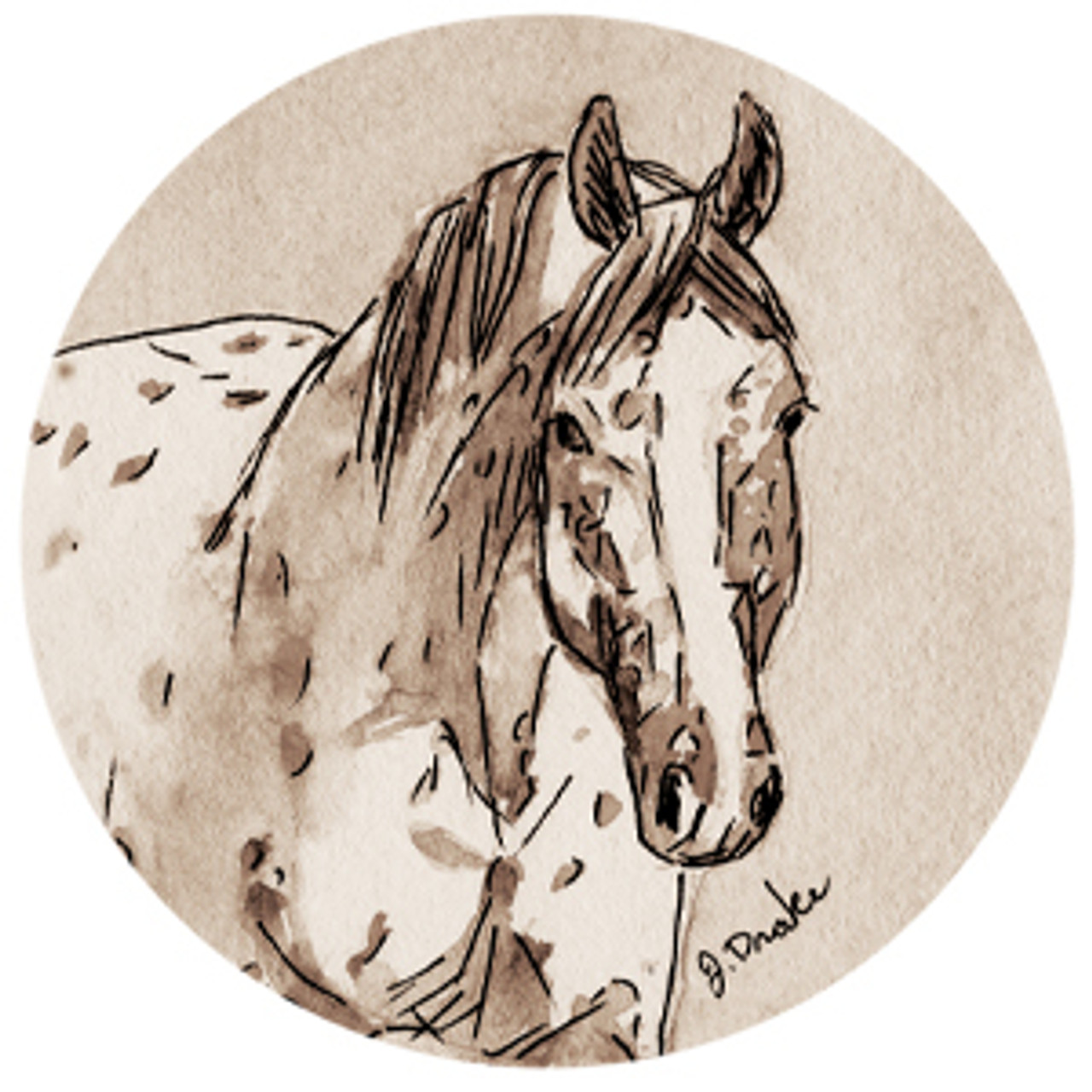 Appaloosa Horse Head Watercolor