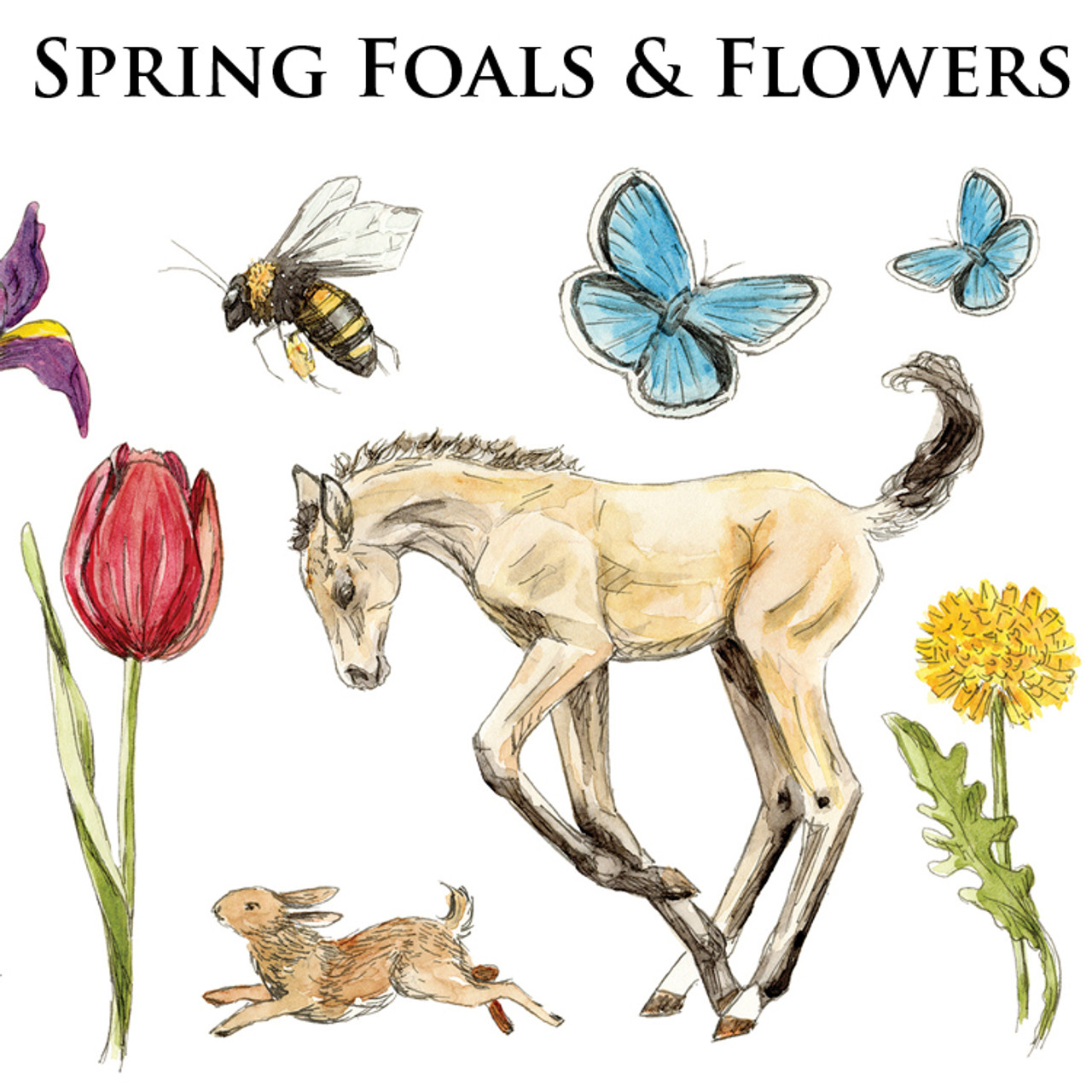 Spring Foals & Flowers