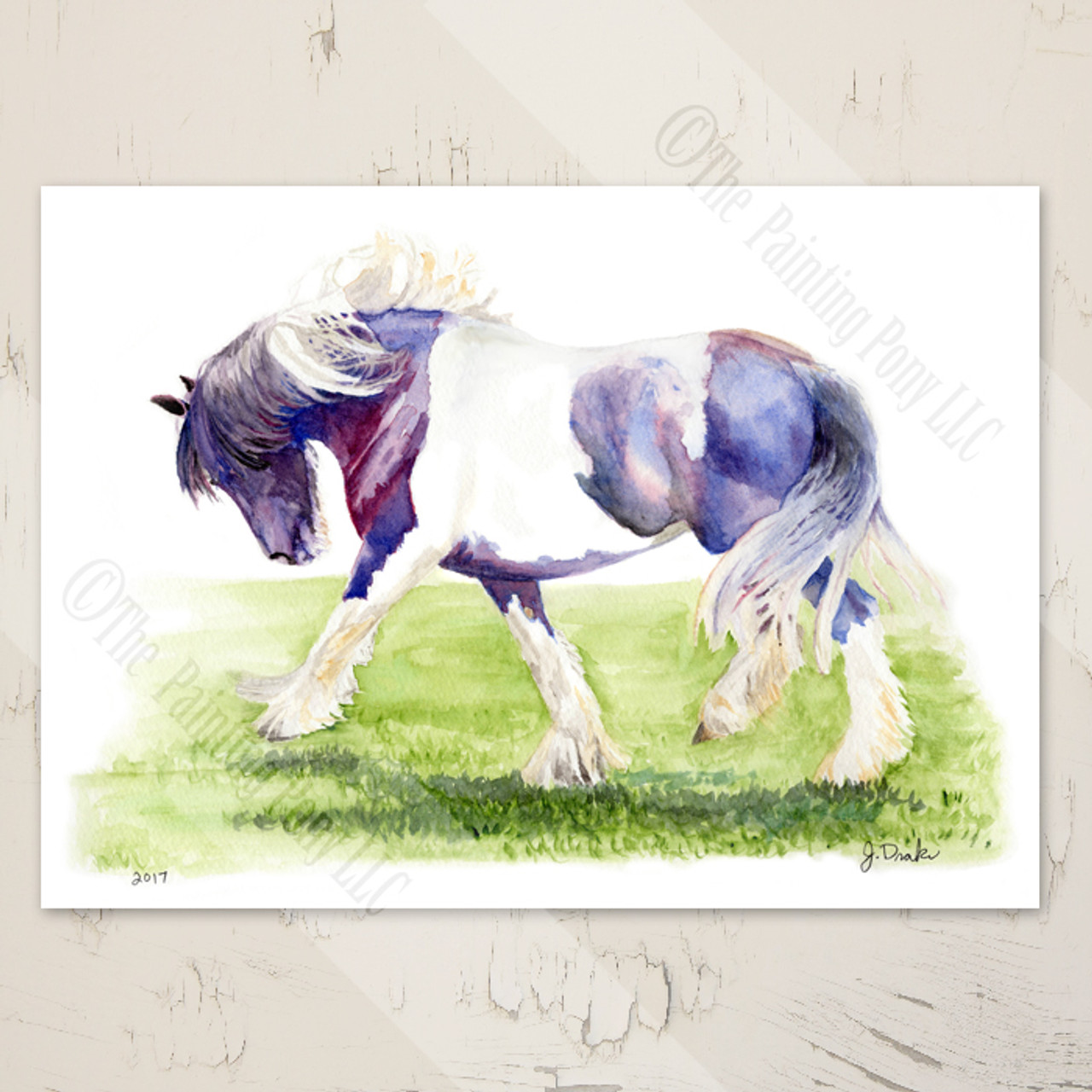 Clothing Shoes Accessories Leggings Gypsy Cob Or Gypsy Vanner