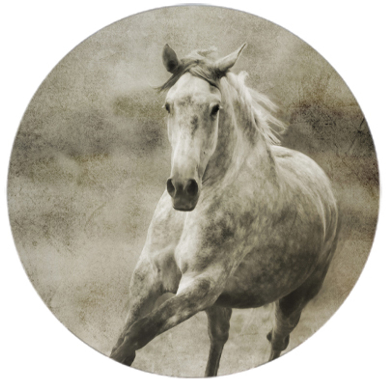Galloping Grey Horse