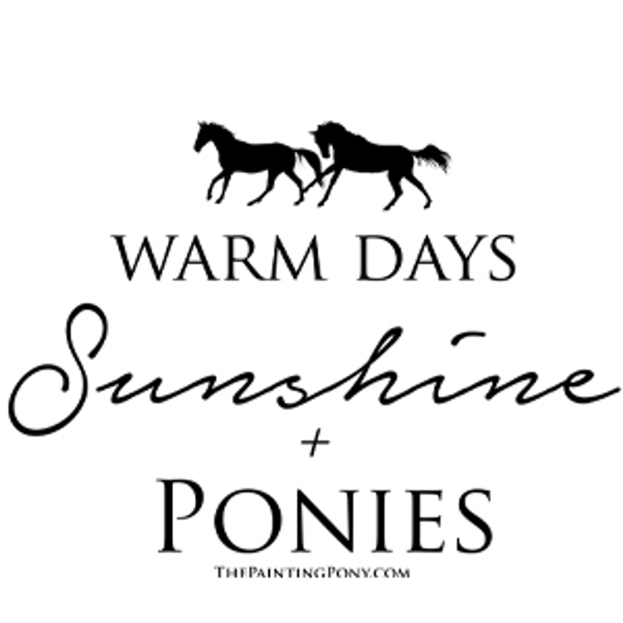 Sunshine & Ponies