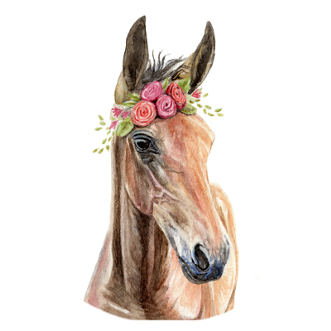 Bohemian Horse Foal Watercolor