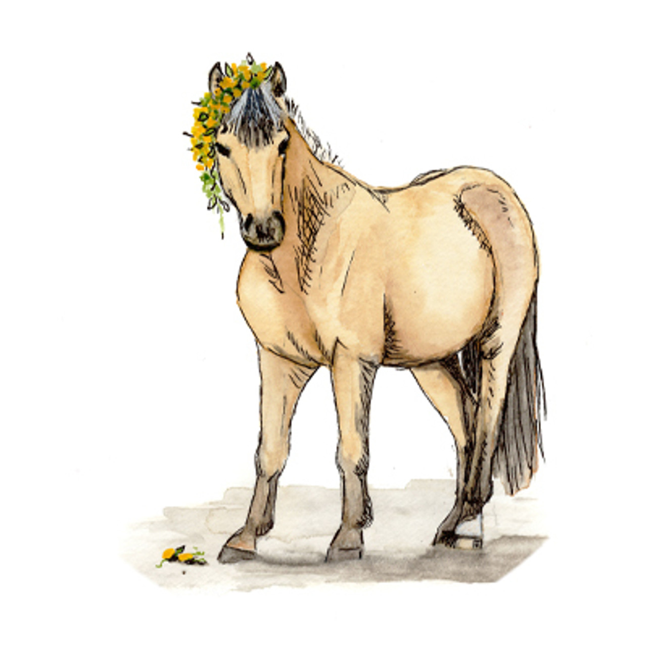 Whimsical Buckskin Pony