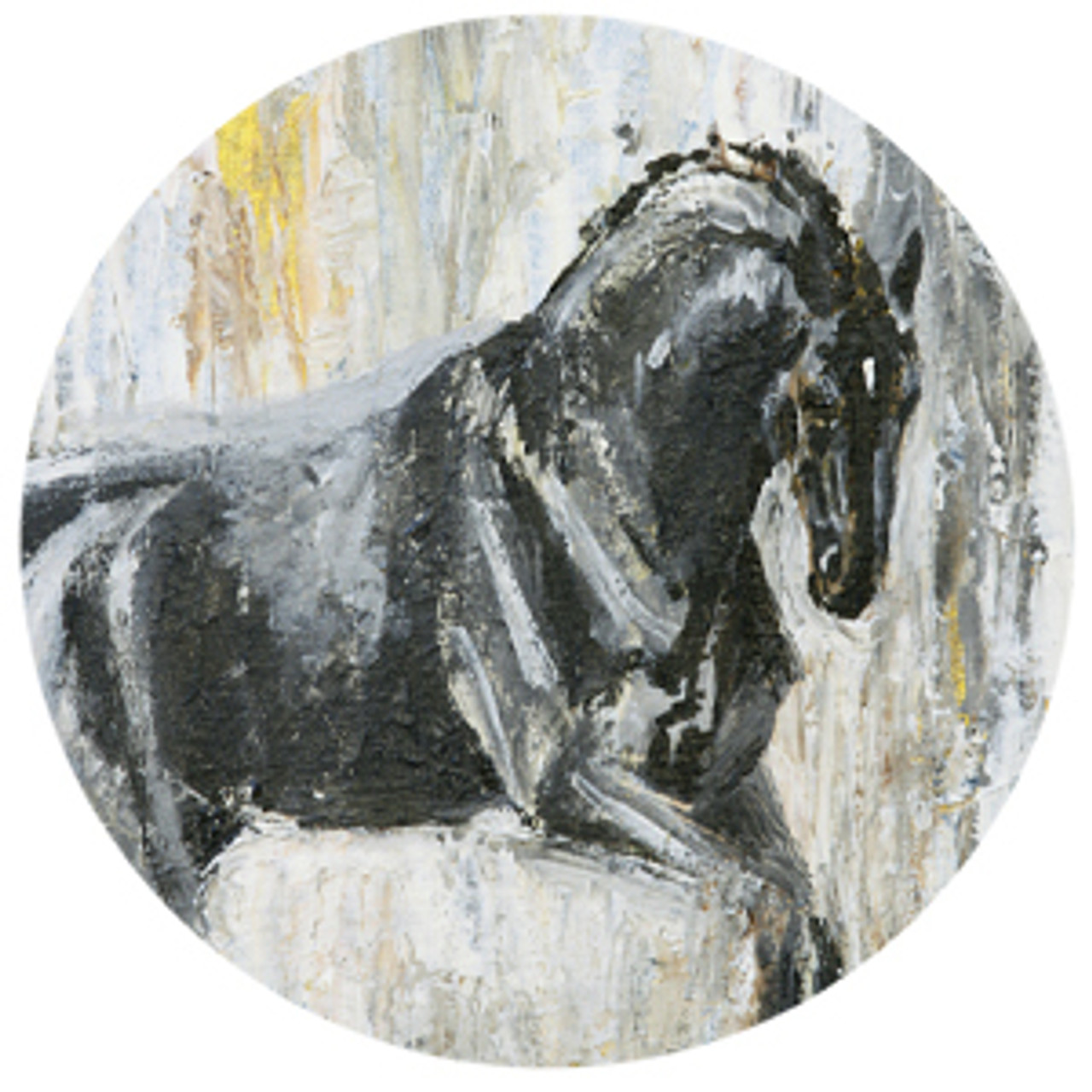 Dark Horse Cantering Black Horse