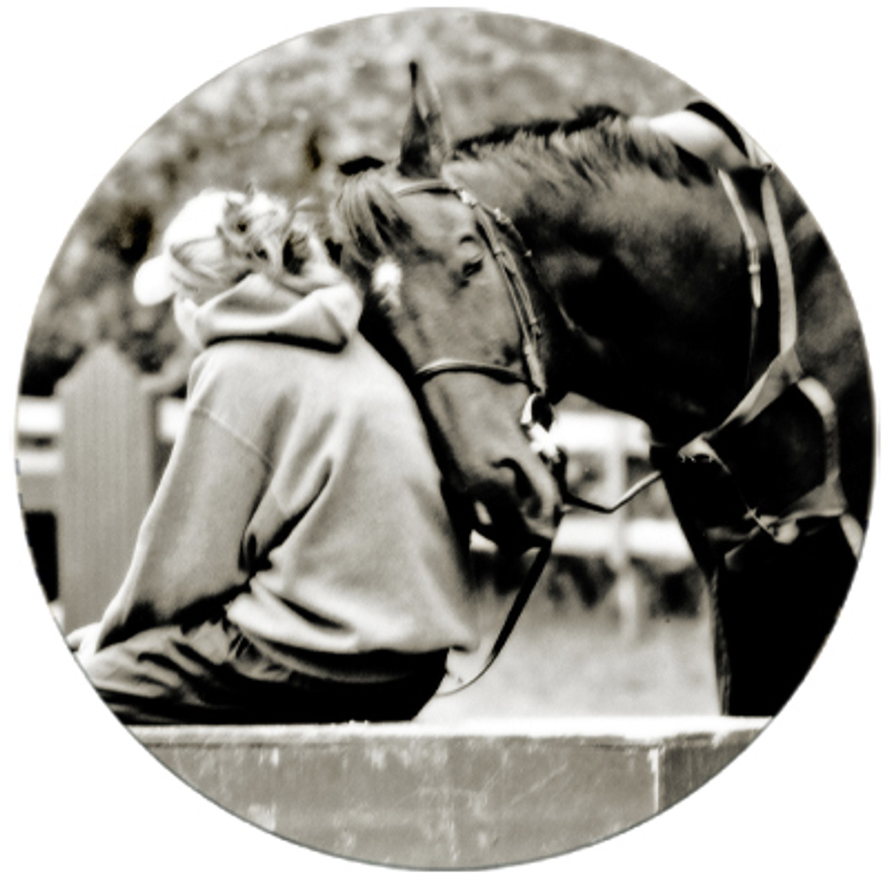 Horse Snuggles