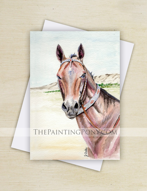 Details about   Horse Illustration Swirly Colourful Card With Envelope 