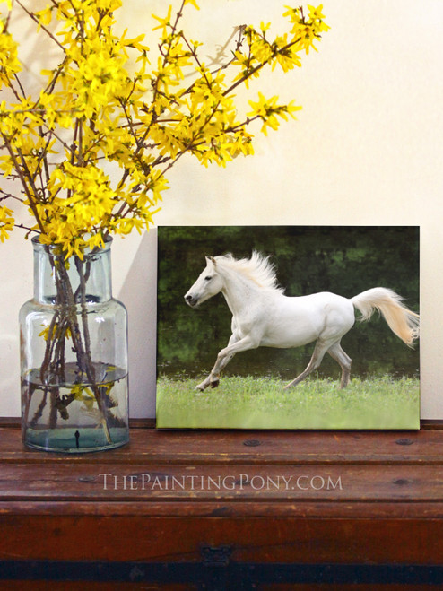 Galloping White Horse Fine Art Print