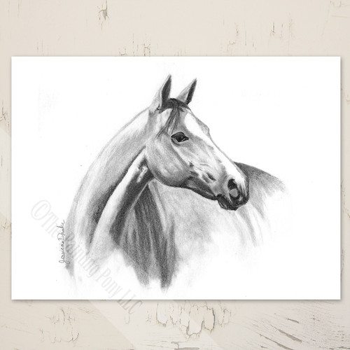 horse head artwork blank equestrian note cards