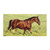 Bay Horse Equestrian Beach Towel