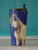 Buckskin Pony Equestrian Travel Tumbler