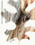 "Gold Leaf" Palomino Horse Original Watercolor Painting