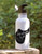 Saddle Up Anyway Equestrian 20oz Waterbottle