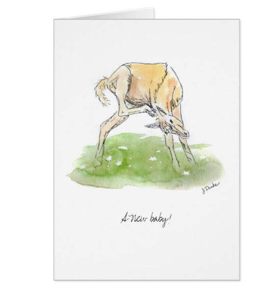 Newborn Baby Congratulations Equestrian Greeting Card